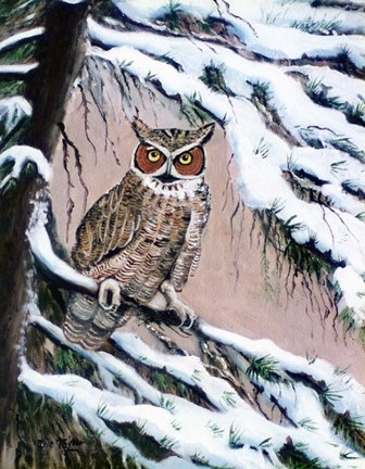 Framed Great Horned Owl In Winter Print
