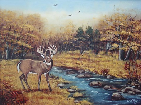 Framed Monarch Print