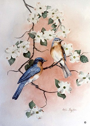 Framed Bluebirds and Dogwood Print