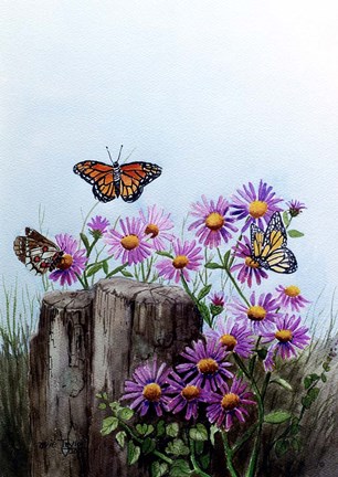 Framed Butterflies Print