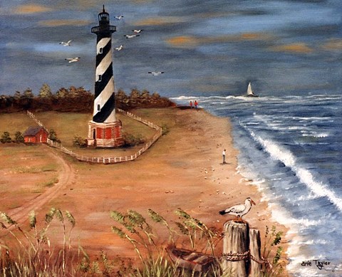 Framed Cape Hatteras and the Seagull Print