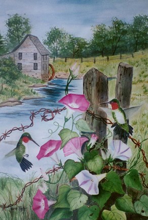 Framed Hummingbirds Print