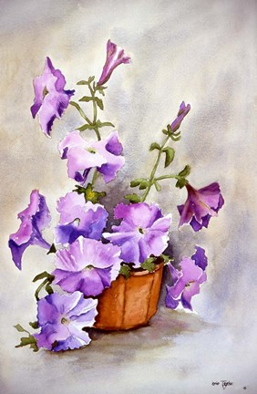 Framed Petunia Print