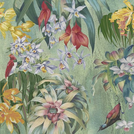 Framed Jungle Orchids Print