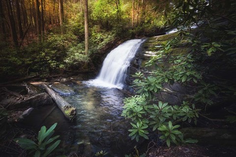 Framed Morning Glow At The Waterfall Print