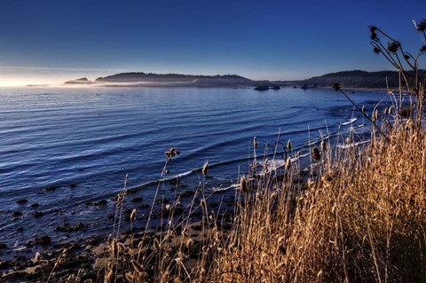 Framed Pacific Blues Print