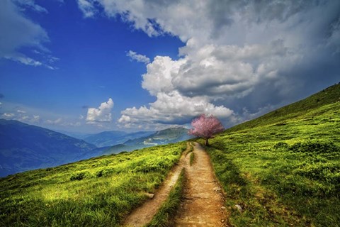 Framed Perseverence Print