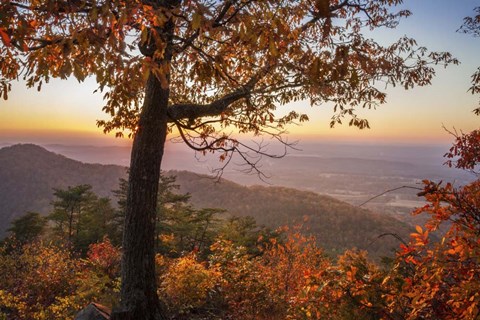 Framed Smoky Overlook Print