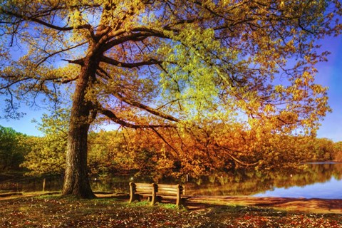 Framed I Will Wait for You in Fall Print