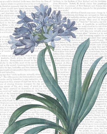 Framed Summer Botanicals I Print