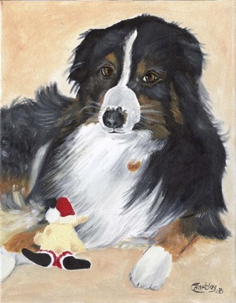 Framed Collie Sal and toy Print