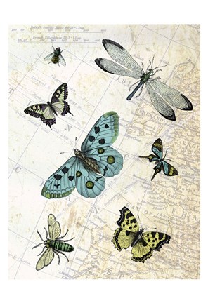 Framed Flying High Print