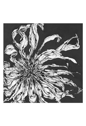 Framed Awakening Print