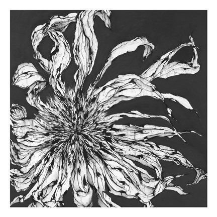 Framed Awakening Print