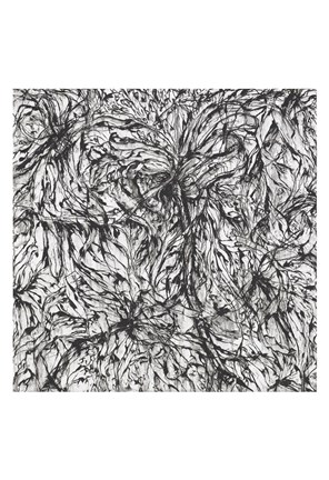 Framed Captivate Print