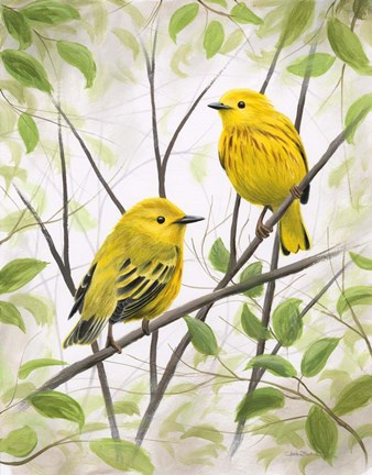 Framed Springtime Warblers Print