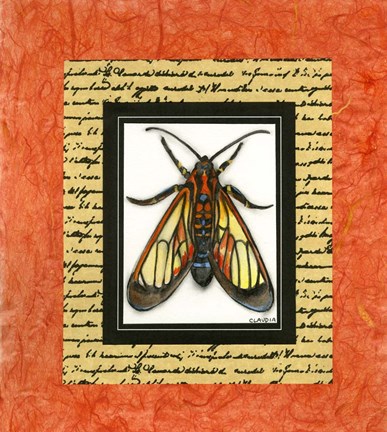 Framed Bugs II Print