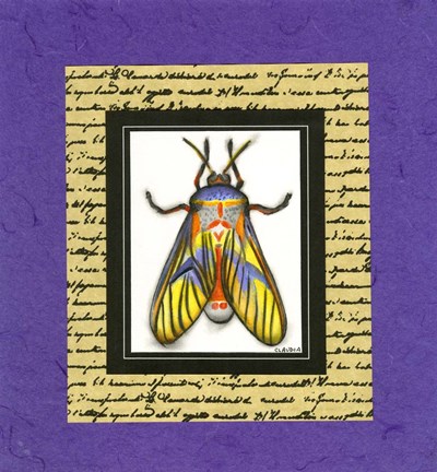 Framed Bugs III Print