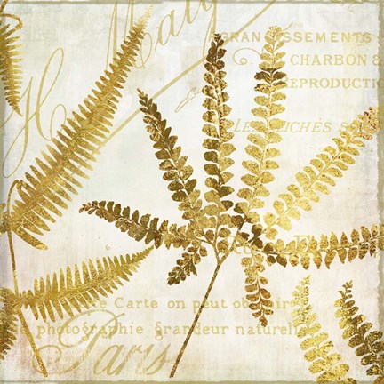 Framed Golda II Print