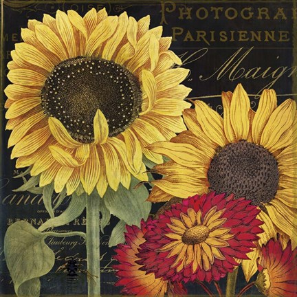 Framed October Sun I Print