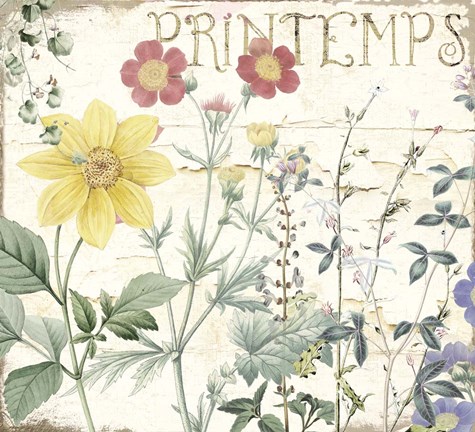 Framed Mirabelle III Print