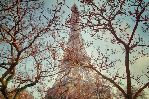 Framed Eiffel Tower Vintage Print