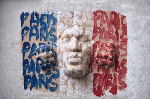 Framed French Flag Wall Art Print