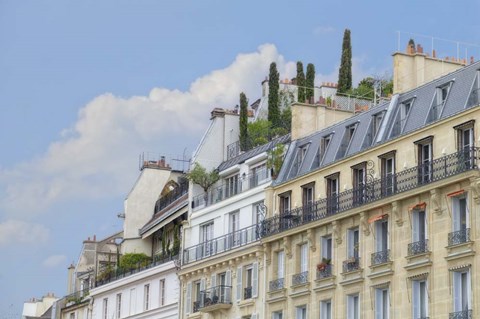 Framed Paris&#39; Roof Gardens Print