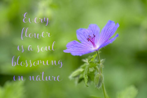 Framed Blossoming Soul Print