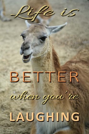 Framed Life Is Better Laughing Print