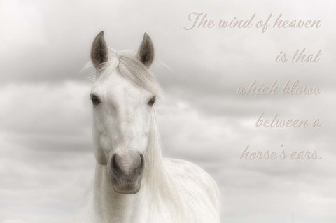 Framed Wind Of Heaven Print