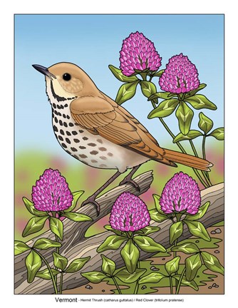 Framed State Birds And Flowers VT Print