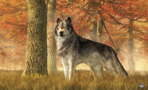 Framed Wolf In Autumn Print