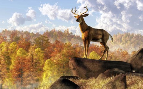 Framed Buck Over Autumn Valley Print