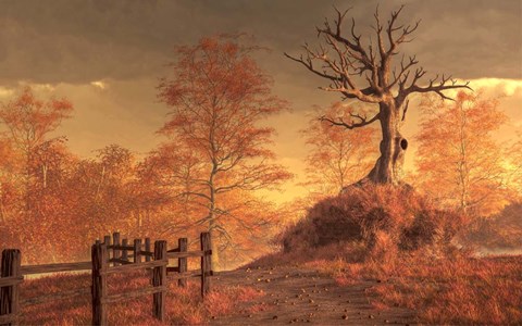 Framed Dead Tree Print