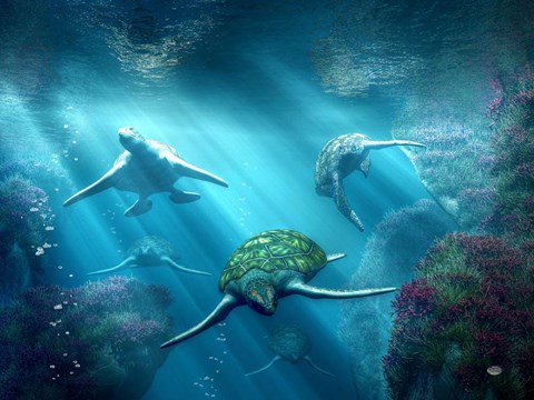 Framed Turtle Alley Print