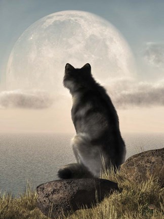 Framed Wolf Watching The Moonrise Print