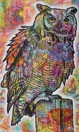 Framed Owl Perch Print