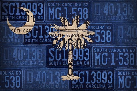 Framed South Carolina State Flag Print