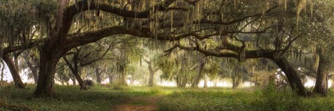 Framed Southern Charm Print