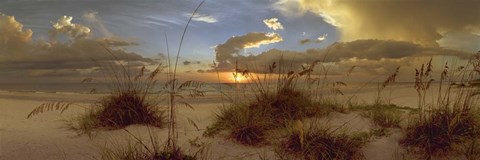 Framed Tranquility Print