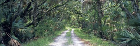 Framed Going Home Print