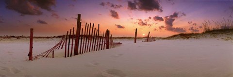 Framed Magic Moment Print