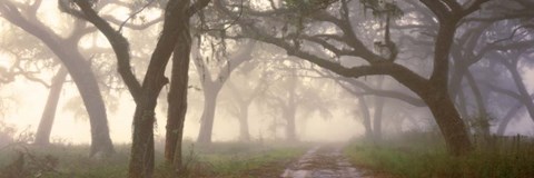 Framed Dawns Early Light Print