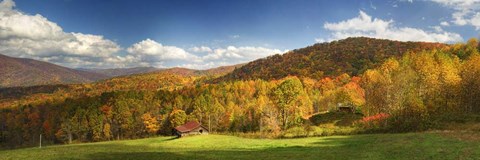 Framed Sun's Out Print