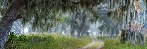 Framed Memory Lane Print