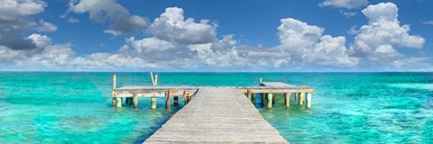 Framed In no Hurry Print