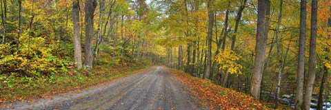 Framed Urban Bypass Print