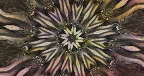 Framed Sacred Circle Print