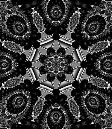 Framed Mod Pod 4 Print